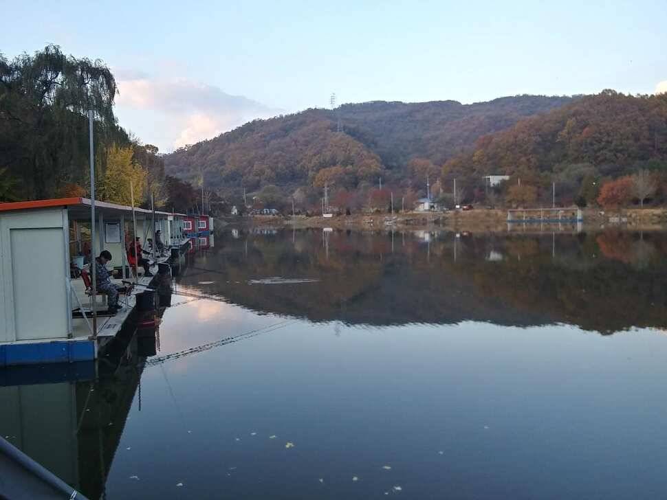 수곡낚시터 대호만 토종붕어 300키로 오늘 대량 방류 및 조황 소식 (유료터정보 - 유료터점주조황)