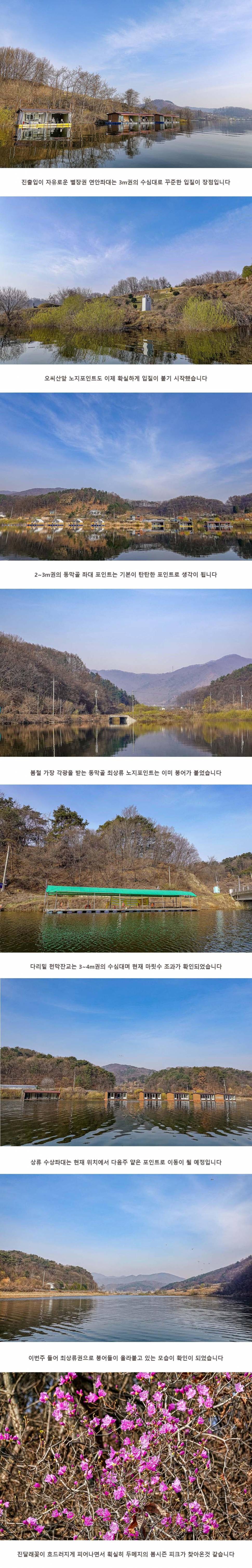 안성 두메낚시터 3월 26일 조황정보 (유료터정보 - 유료터점주조황)