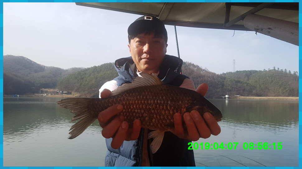 신원낚시터 토종대물 4짜 소식입니다 (유료터정보 - 유료터점주조황)