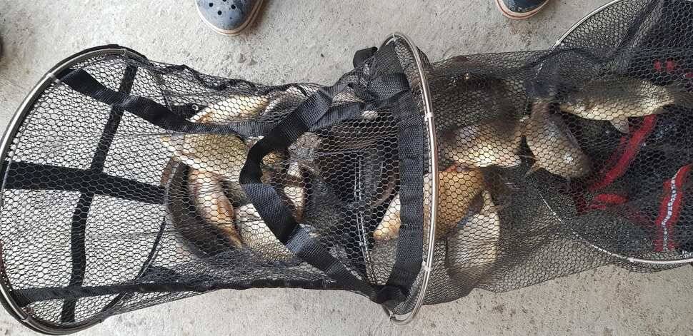 힐링 양평 수곡낚시터 4짜 대물붕어주중조황 및 붕어방류수상좌대 할인요금 안내 (유료터정보 - 유료터점주조황)