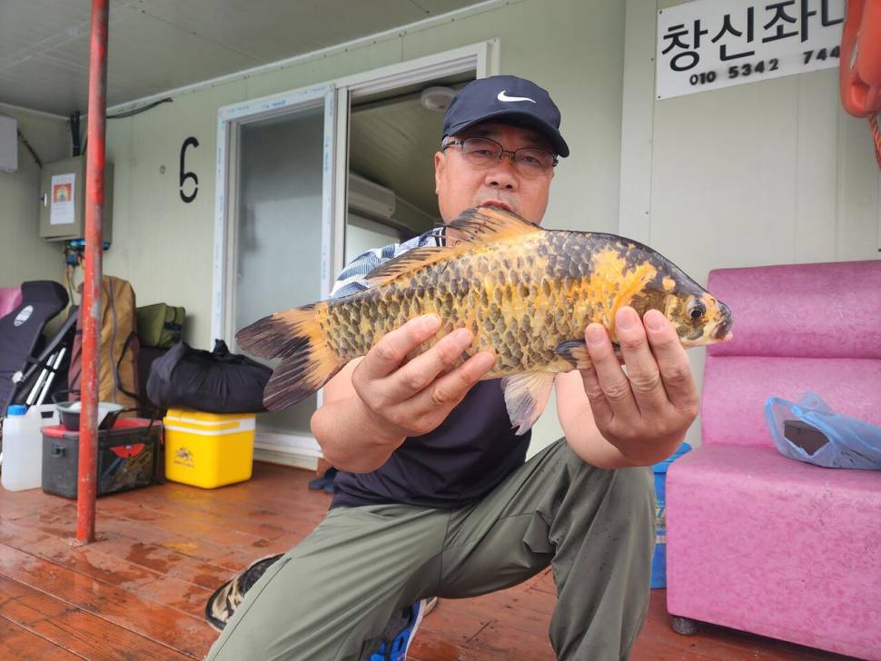 송전지 창신좌대 조황정보 (유료터정보 - 유료터점주조황)