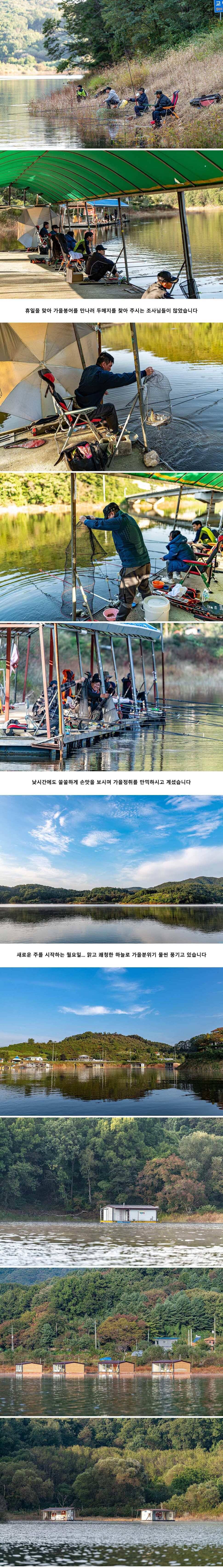 안성 두메낚시터 10월 14일 조황정보 (유료터정보 - 유료터점주조황)
