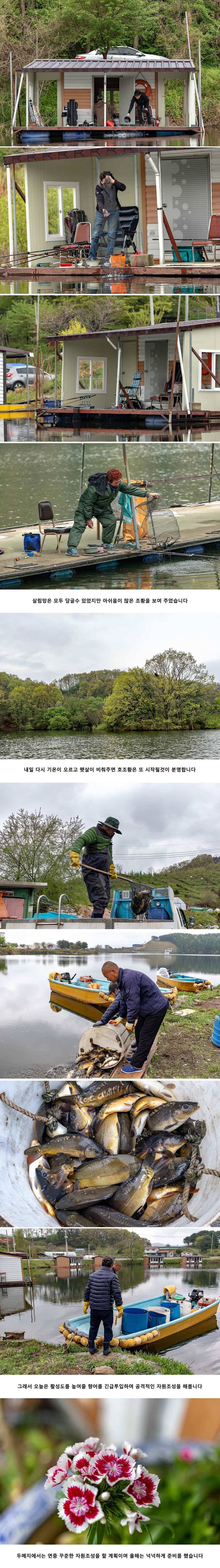 안성 두메낚시터 4월 26일 조황정보 (유료터정보 - 유료터점주조황)