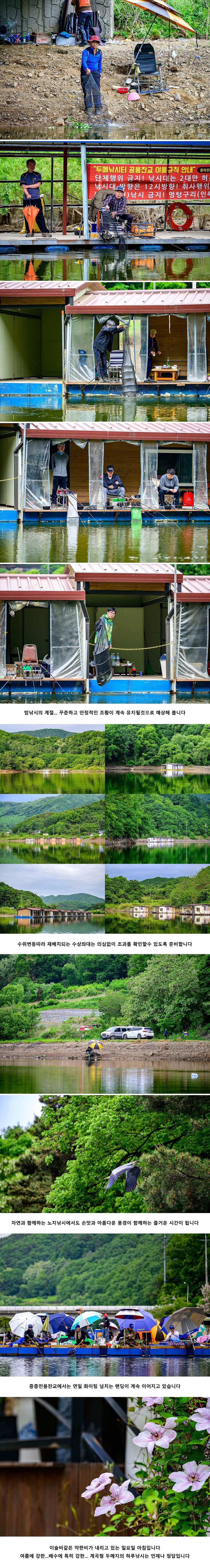 안성 두메낚시터 5월 19일 조황정보 (유료터정보 - 유료터점주조황)