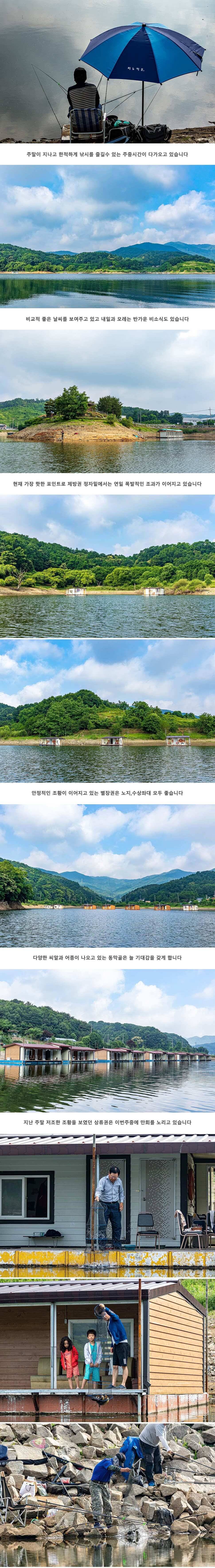 안성 두메낚시터 6월 17일 조황정보 (유료터정보 - 유료터점주조황)