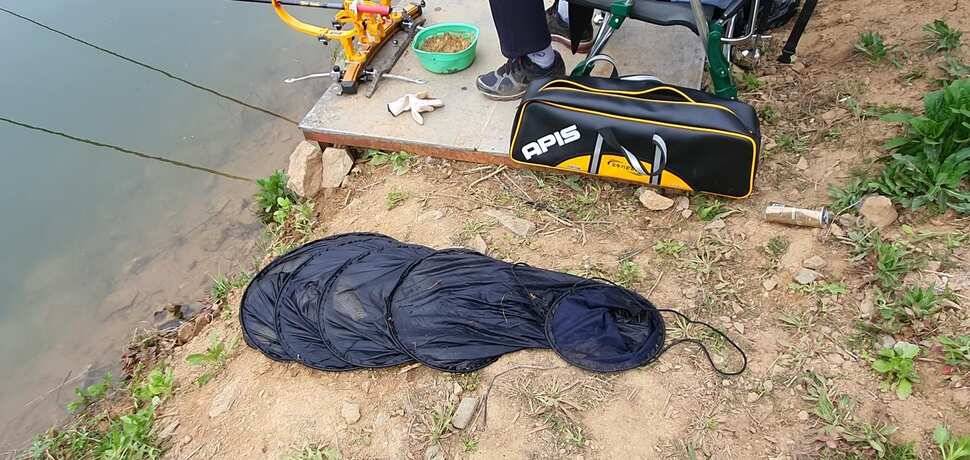 공주 고성낚시터 입니다 (유료터정보 - 유료터점주조황)