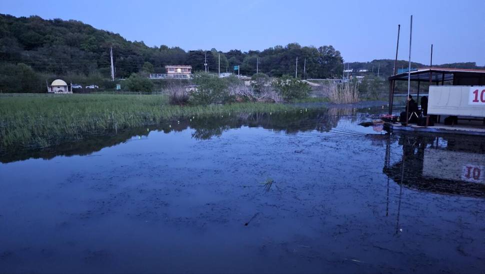당진 가교리 낚시터 5월 6일 조황입니다 (유료터정보 - 유료터점주조황)