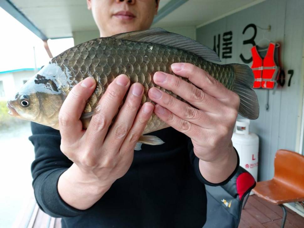 송전지서울집좌대4월23일조황 (유료터정보 - 유료터점주조황)