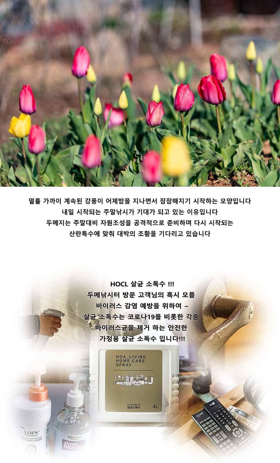 안성 두메낚시터 4월 10일 조황정보 (유료터정보 - 유료터점주조황)
