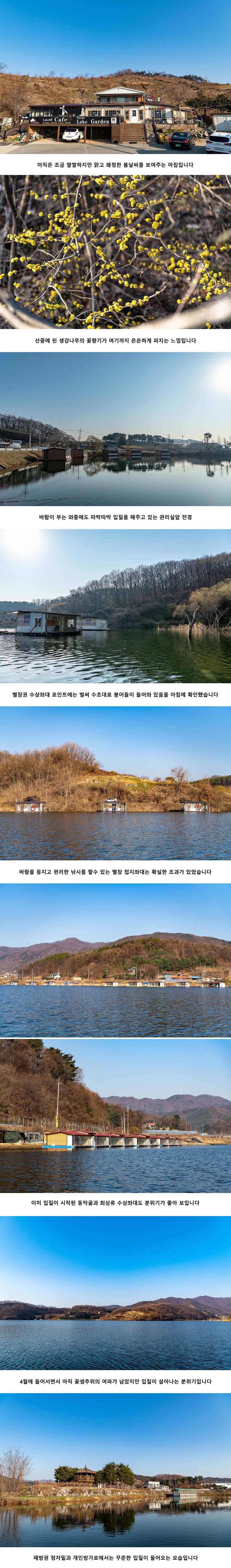 안성 두메낚시터 4월 3일 조황정보 (유료터정보 - 유료터점주조황)