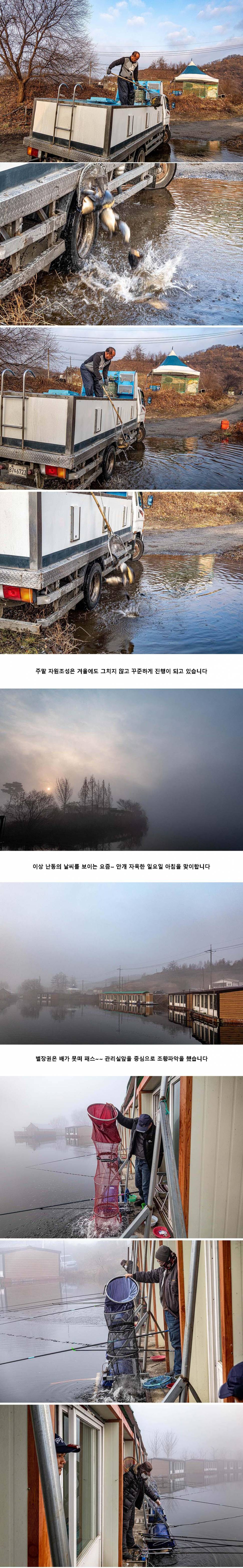 안성 두메낚시터 12월 10일 조황정보 (유료터정보 - 유료터점주조황)