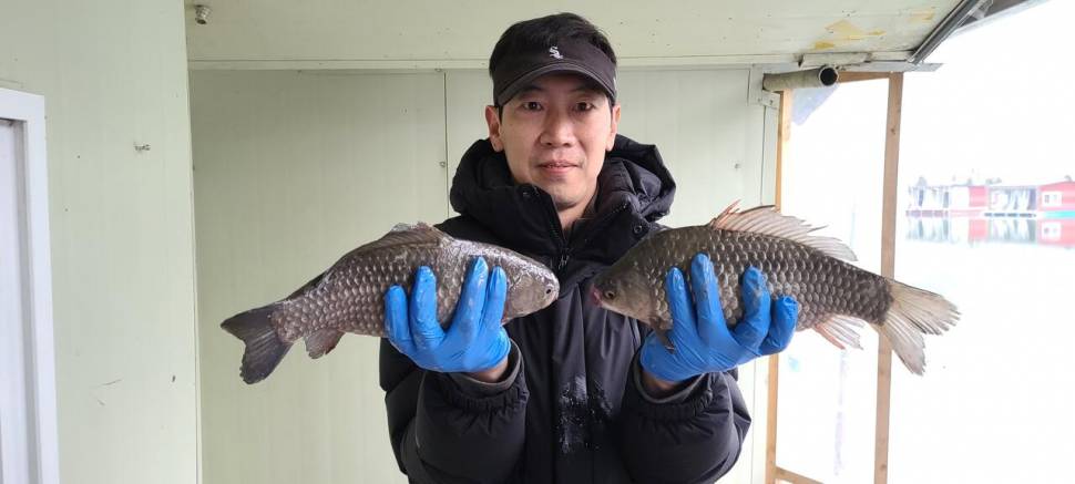 양평 힐링 수곡낚시터 둘째주 주말 조황 및 붕어 방류 (유료터정보 - 유료터점주조황)