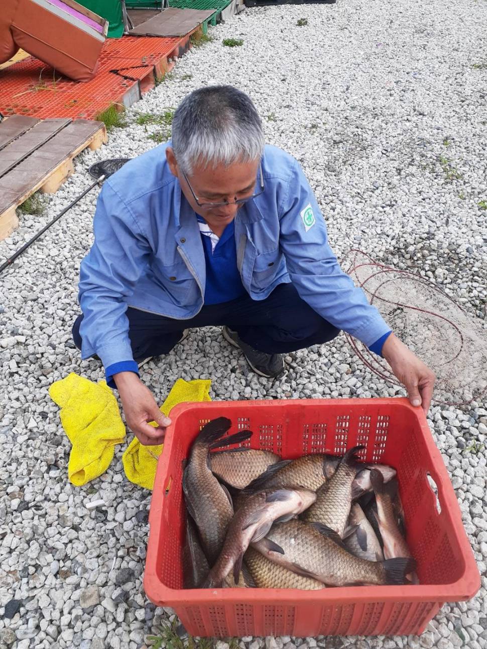 경주 동산낚시터붕어 전용잡이터 지난주 조황 (유료터정보 - 유료터점주조황)