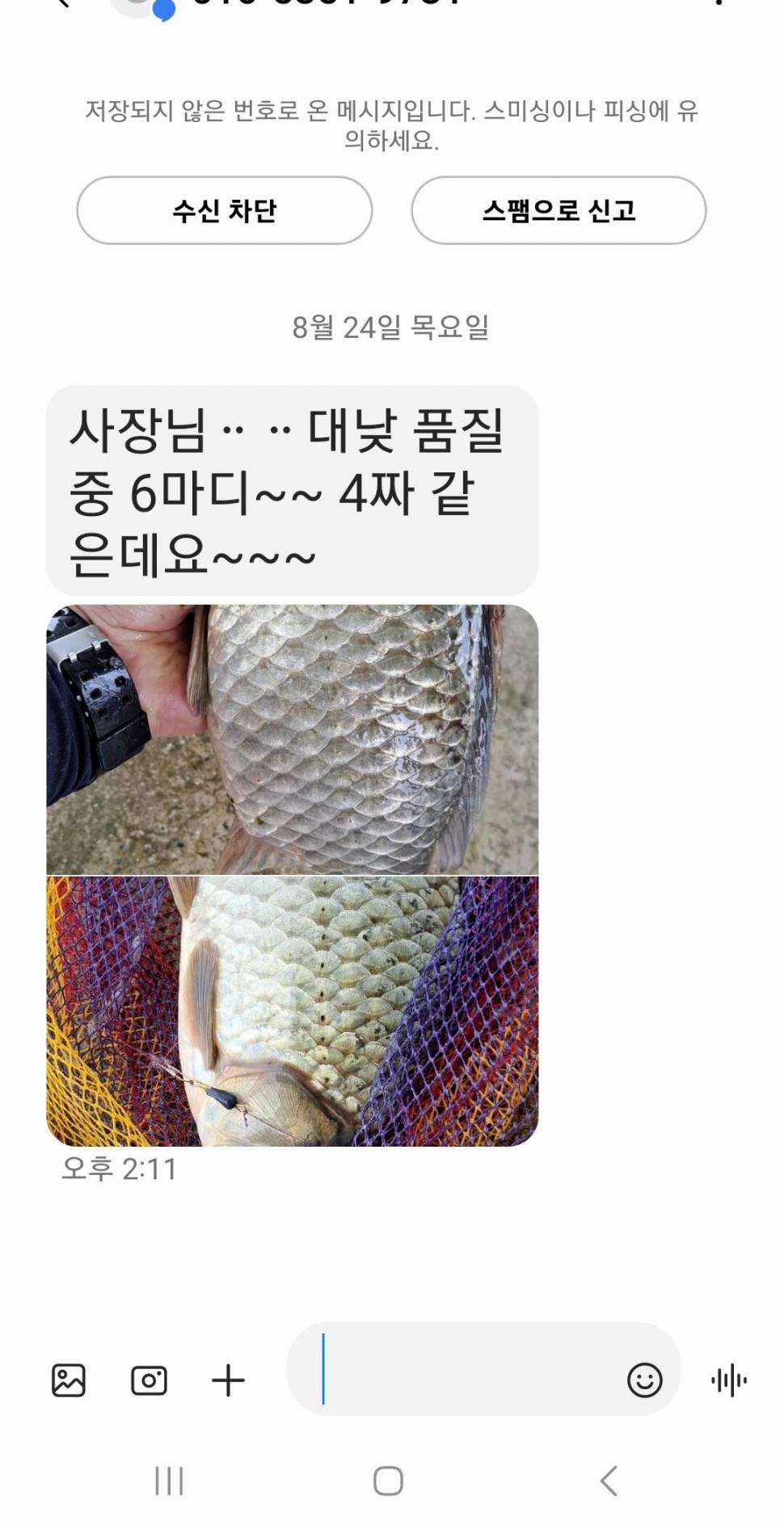 2023년 8월 넷째주 조황정보 용담낚시터사암지 (유료터정보 - 유료터점주조황)