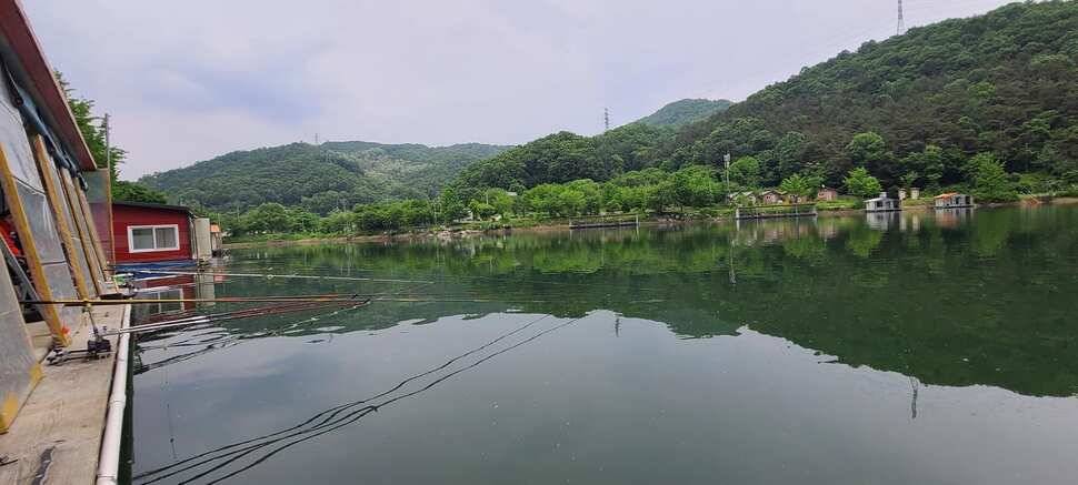 붕어낚시 양평 수곡낚시터 5월마지막주 주초 조황 안내드립니다 (유료터정보 - 유료터점주조황)