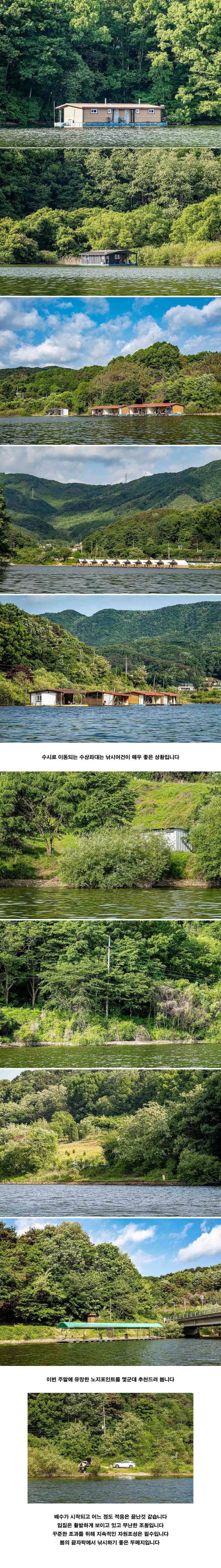 안성 두메낚시터 5월 11일 조황정보 (유료터정보 - 유료터점주조황)