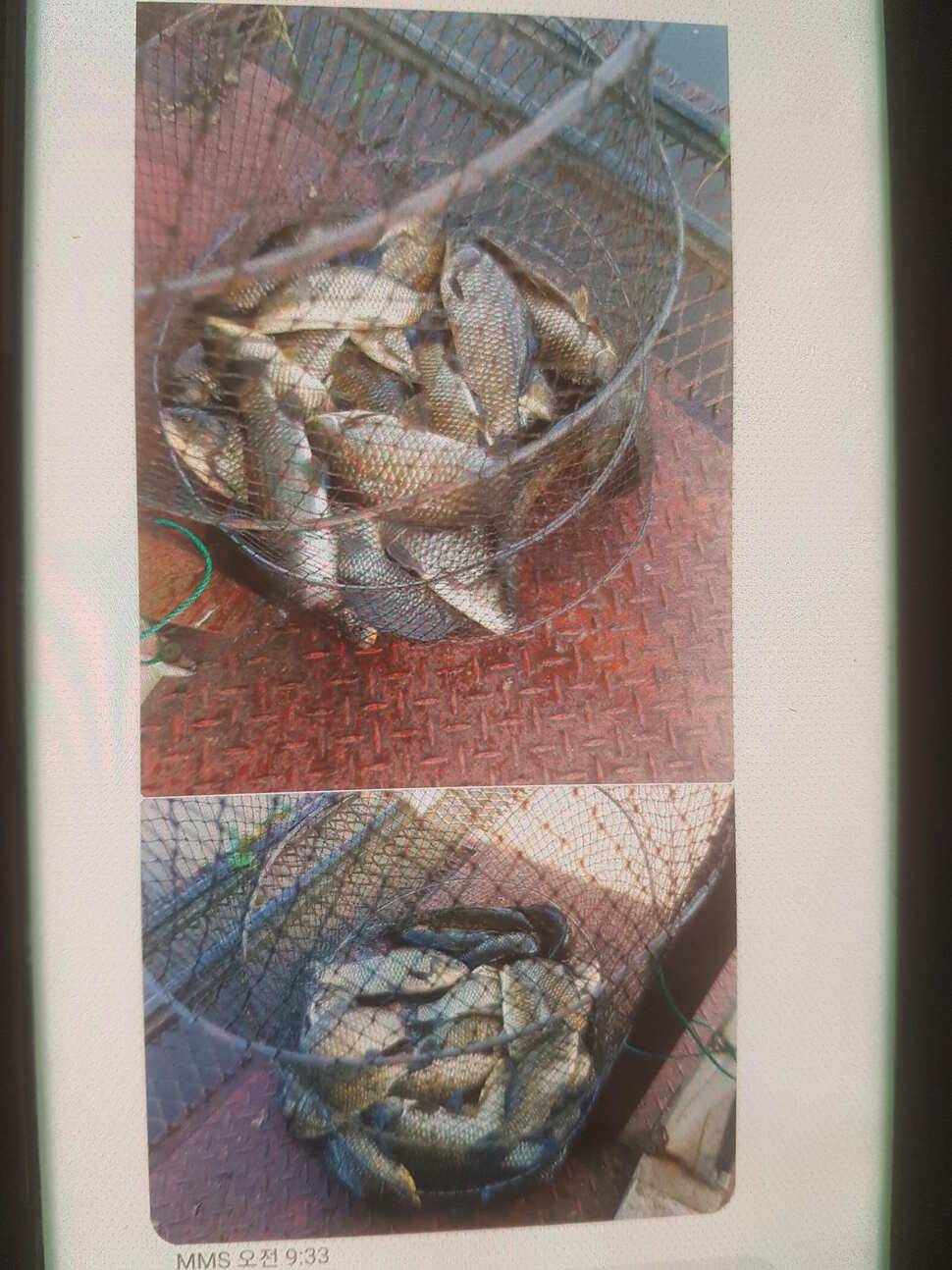 즐거운 가족 낚시터 용인 통삼낚시터 입니다 (유료터정보 - 유료터점주조황)