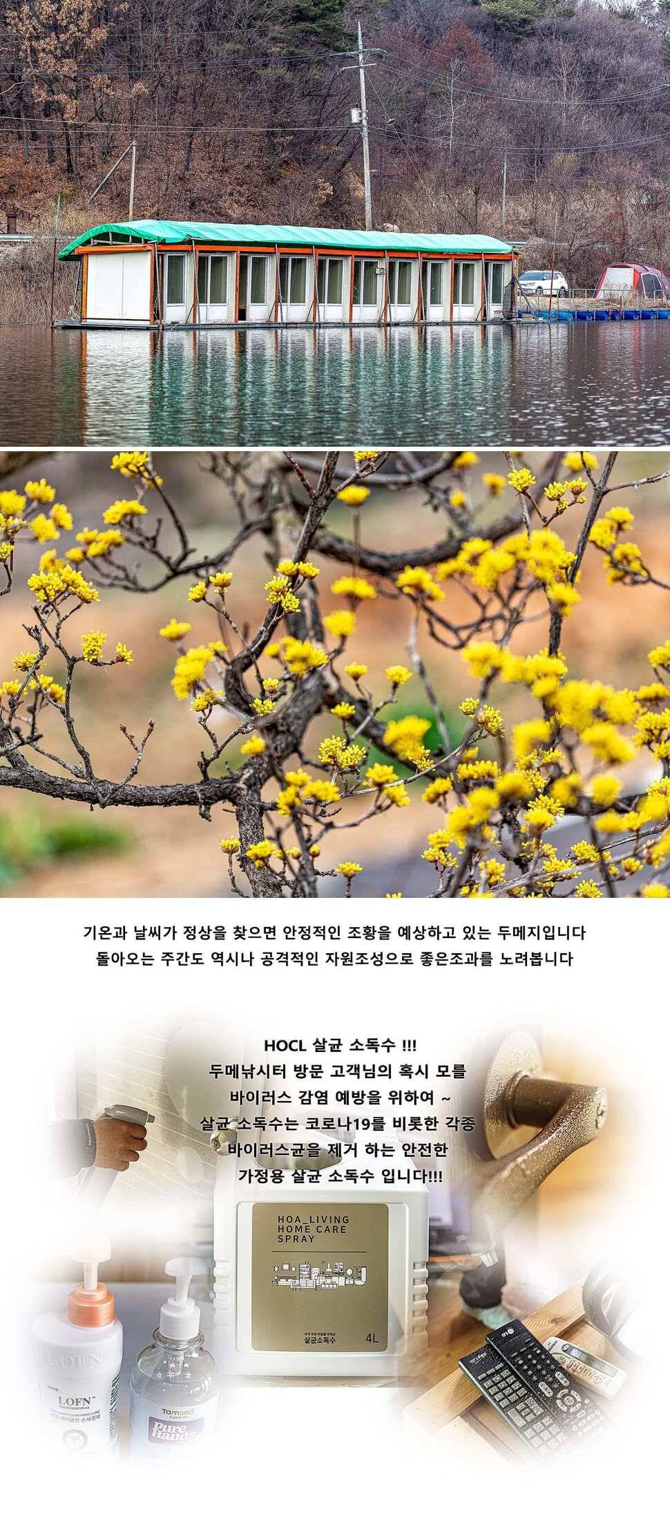 안성 두메낚시터 3월 15일 조황정보 (유료터정보 - 유료터점주조황)