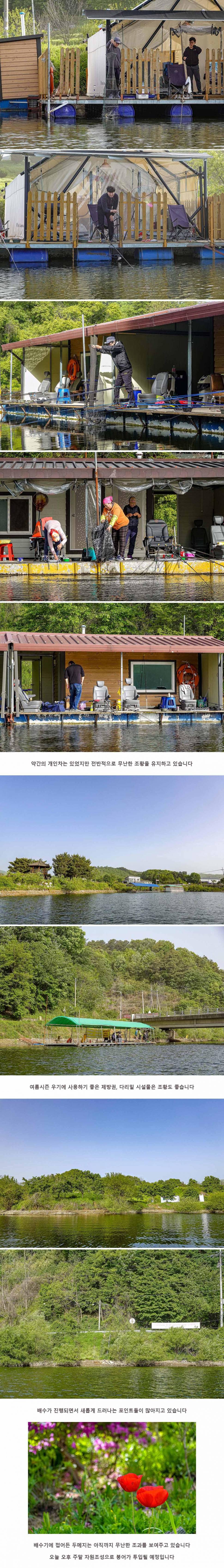 안성 두메낚시터 5월 8일 조황정보 (유료터정보 - 유료터점주조황)