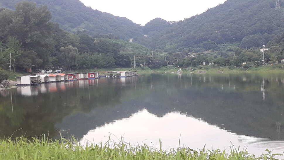 민물낚시 붕어낚시 양평 수곡낚시터 조황이 꾸준히 잘 나와줍니다 오늘도 붕어 방류 했습니다 (유료터정보 - 유료터점주조황)