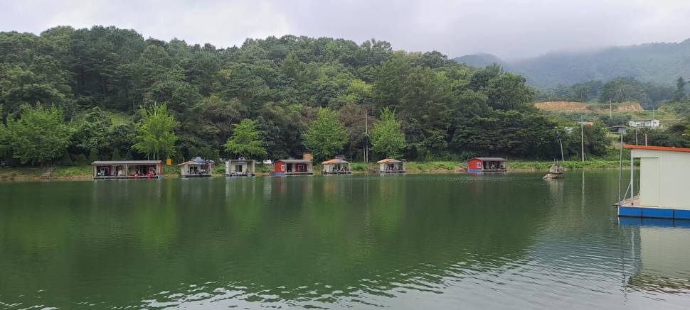 양평 힐링 수곡낚시터 셋째주 주중반 수목 조황입니다 (유료터정보 - 유료터점주조황)