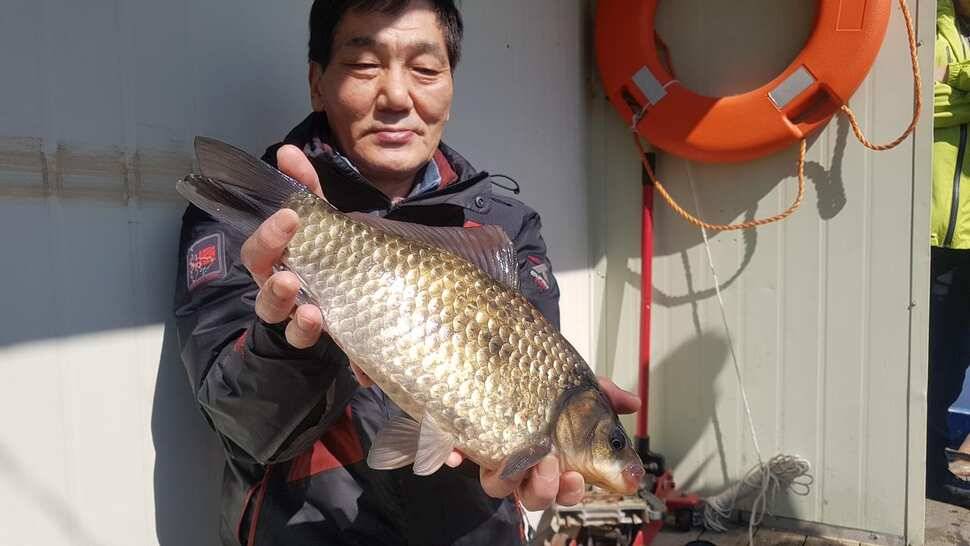 여기 송전지 붕어가 왔어요 (유료터정보 - 유료터점주조황)