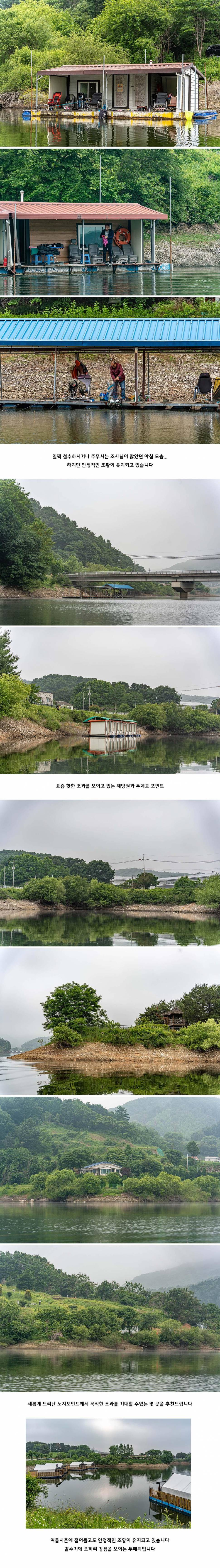 안성 두메낚시터 5월 30일 조황정보 (유료터정보 - 유료터점주조황)