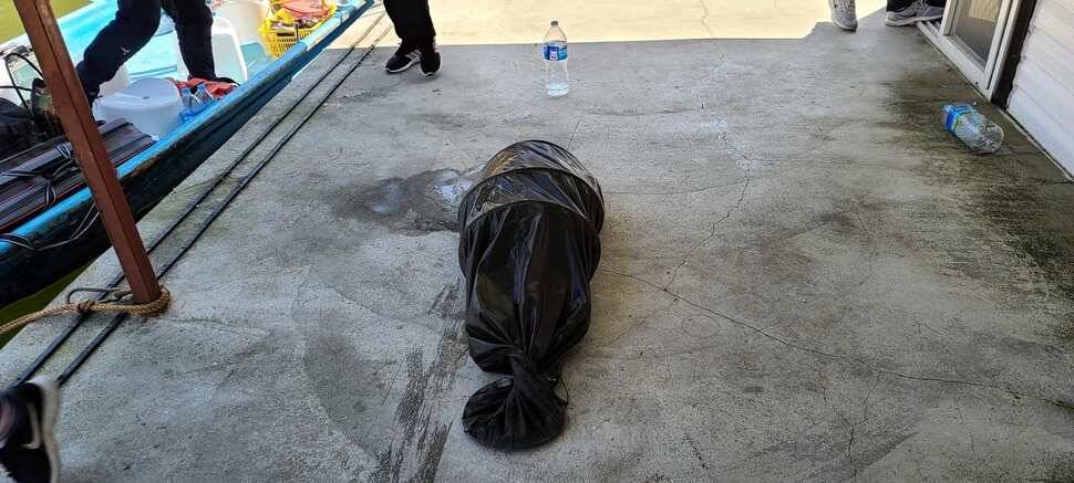 공주 고성낚시터 입니다 (유료터정보 - 유료터점주조황)