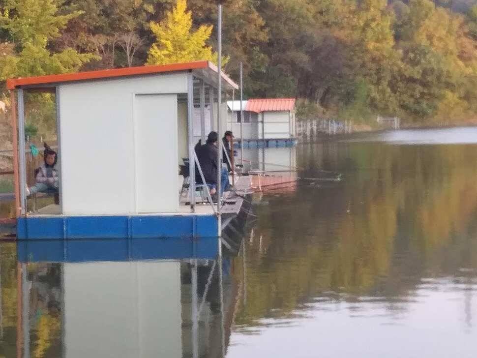 수곡낚시터 4짜 대물붕어가 또 나왔습니다 주말 조황 붕어방류 소식전합니다 (유료터정보 - 유료터점주조황)