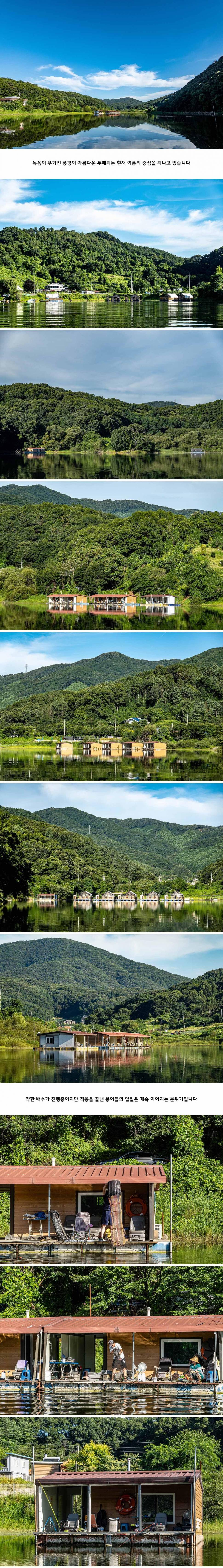 안성 두메낚시터 7월 26일 조황정보 (유료터정보 - 유료터점주조황)