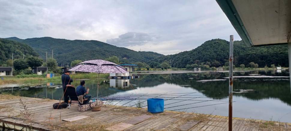 추석명절 잘보내세요 (유료터정보 - 유료터점주조황)