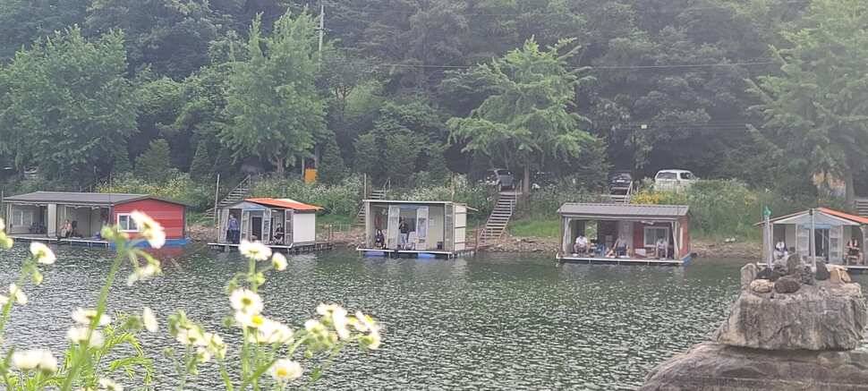 양평낚시터 힐링 수곡낚시터 어제 월요일 조황도 편차는 있지만 꾸준합니다 (유료터정보 - 유료터점주조황)