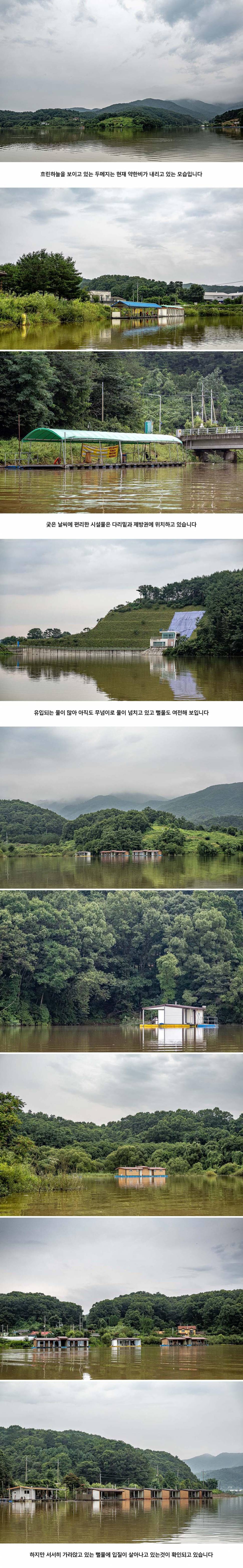안성 두메낚시터 8월 7일 조황정보 (유료터정보 - 유료터점주조황)