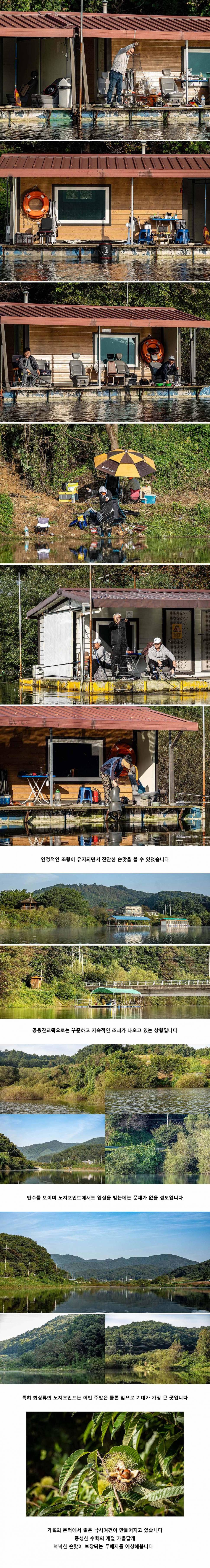안성 두메낚시터 9월 23일 조황정보 (유료터정보 - 유료터점주조황)