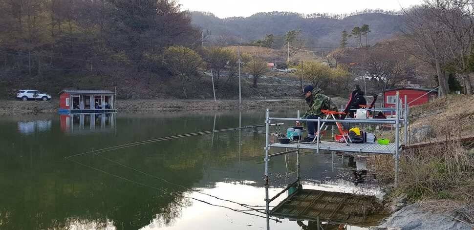 힐링 양평 수곡낚시터 4짜 대물붕어주중조황 및 붕어방류수상좌대 할인요금 안내 (유료터정보 - 유료터점주조황)