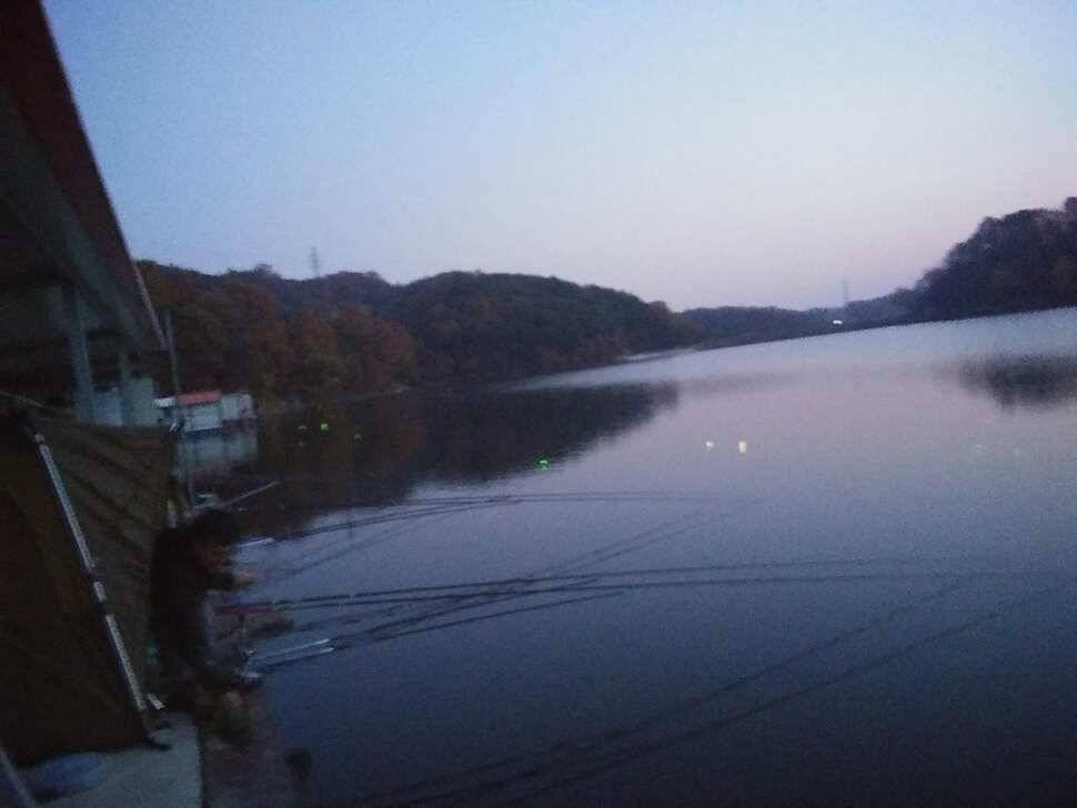 수곡낚시터 주말 조황 소식 및 붕어 방류 안내드려요 (유료터정보 - 유료터점주조황)