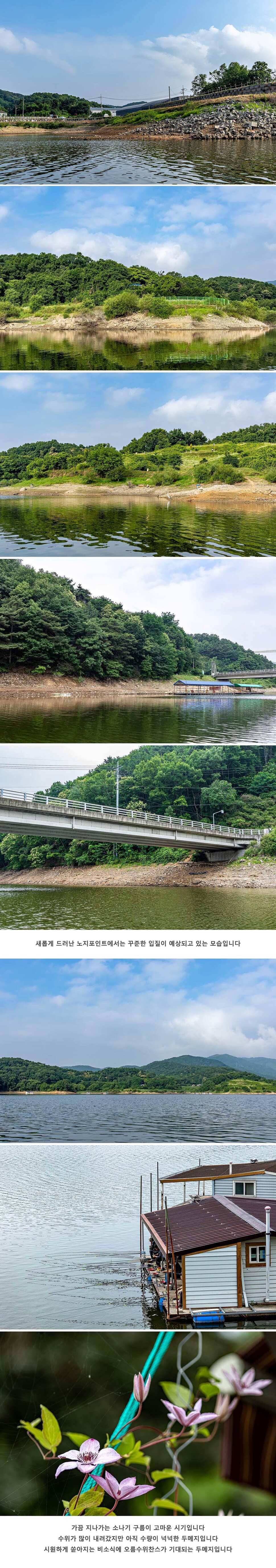 안성 두메낚시터 6월 21일 조황정보 (유료터정보 - 유료터점주조황)