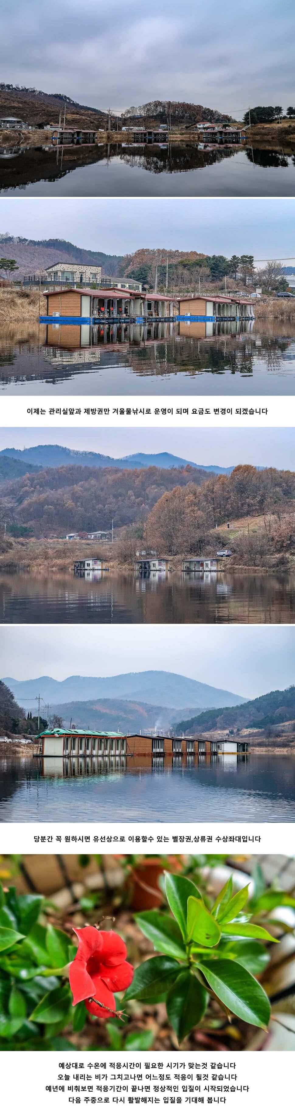 안성 두메낚시터 12월 1일 조황정보 (유료터정보 - 유료터점주조황)