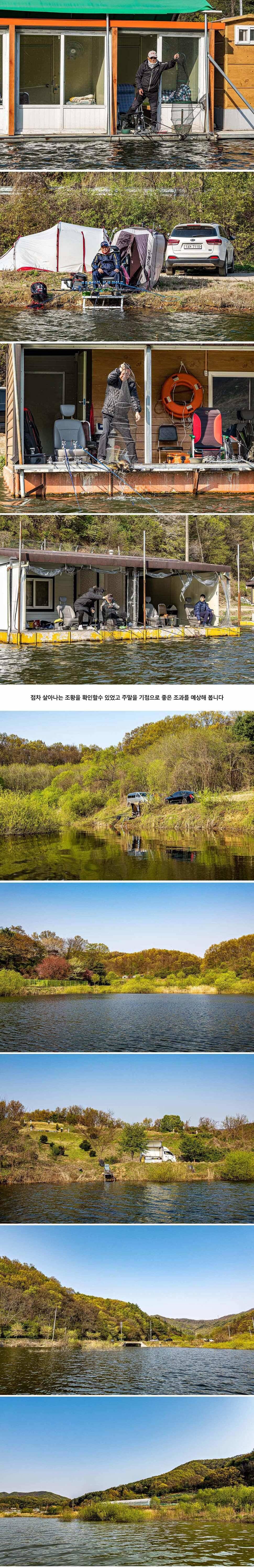 안성 두메낚시터 4월 25일 조황정보 (유료터정보 - 유료터점주조황)