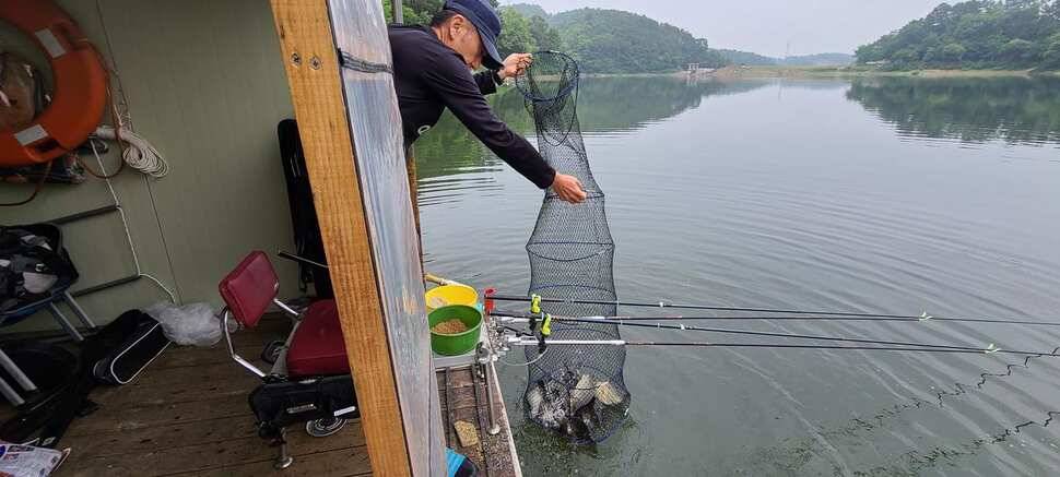 피서 여름낚시 힐링 수곡낚시터 금요일토요일 조황소식 입니다 (유료터정보 - 유료터점주조황)