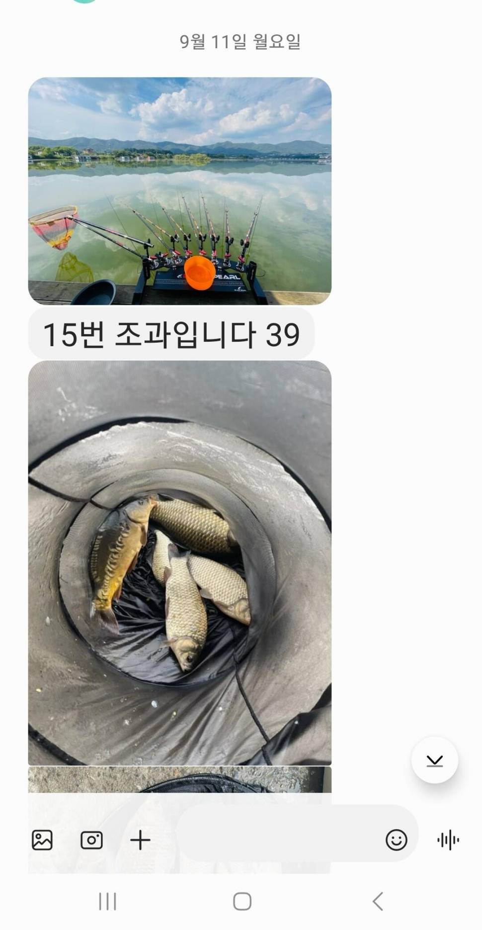 2023년 9월 둘째주 조황정보 용담낚시터사암지 (유료터정보 - 유료터점주조황)
