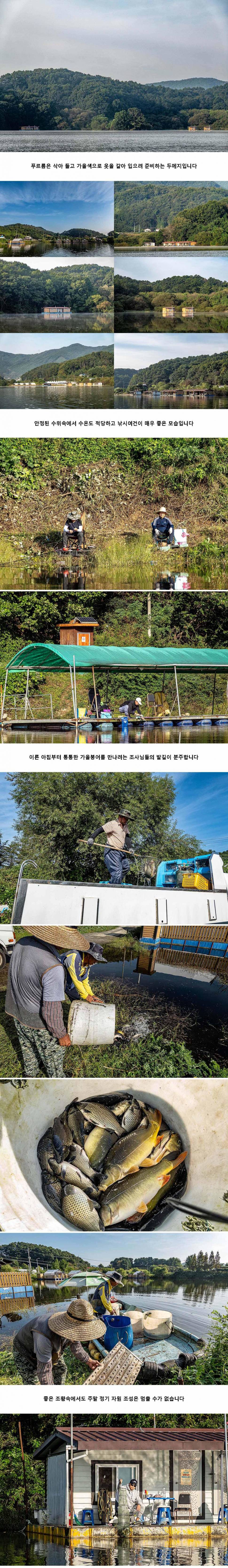 안성 두메낚시터 9월 23일 조황정보 (유료터정보 - 유료터점주조황)