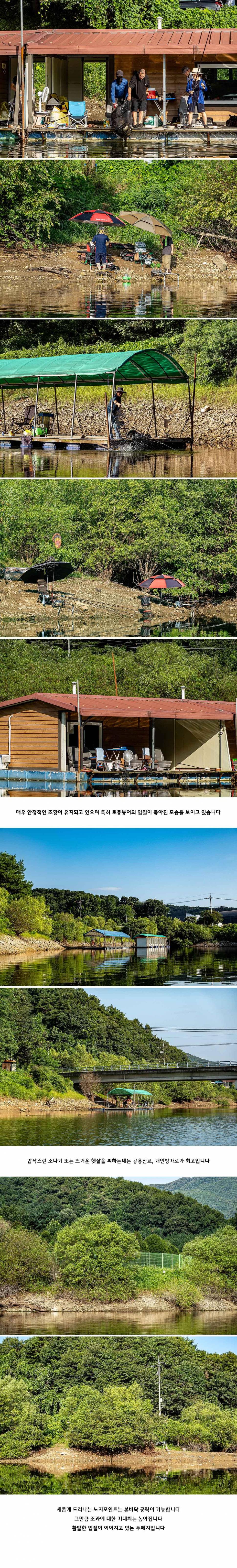 안성 두메낚시터 8월 18일 조황정보 (유료터정보 - 유료터점주조황)