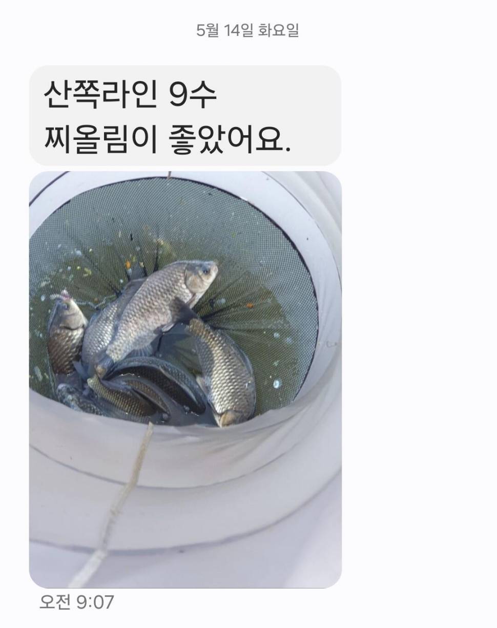 2024년 05월 셋째주 조황정보 용담낚시터사암지 4짜 5마리 (유료터정보 - 유료터점주조황)