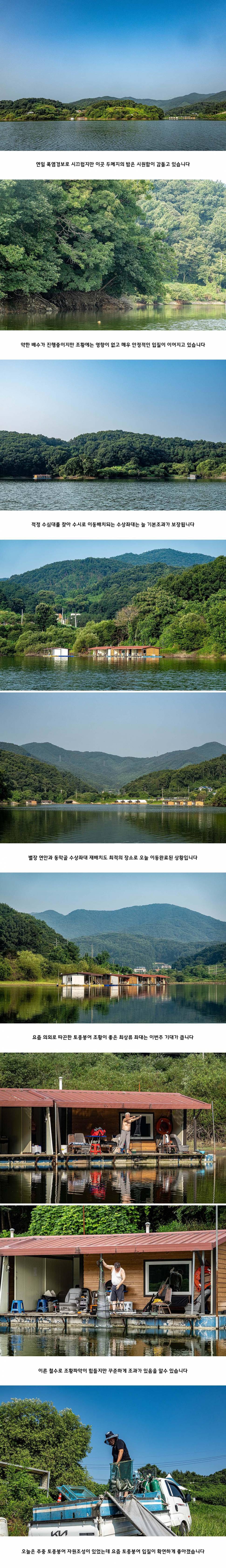 안성 두메낚시터 8월 14일 조황정보 (유료터정보 - 유료터점주조황)