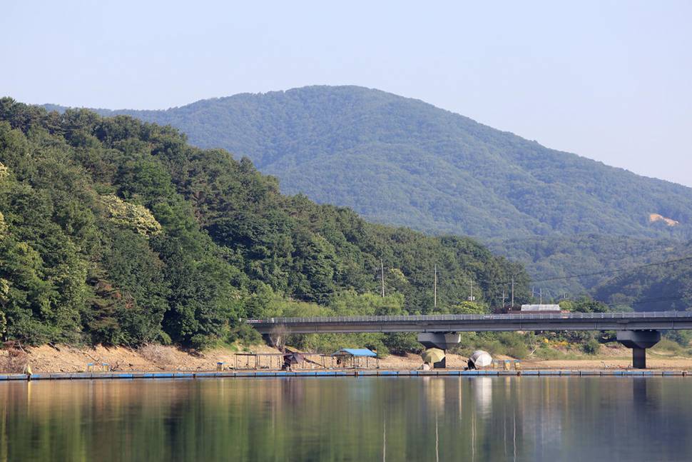 안성 두메낚시터 6월12일 조황안내 (유료터정보 - 유료터점주조황)