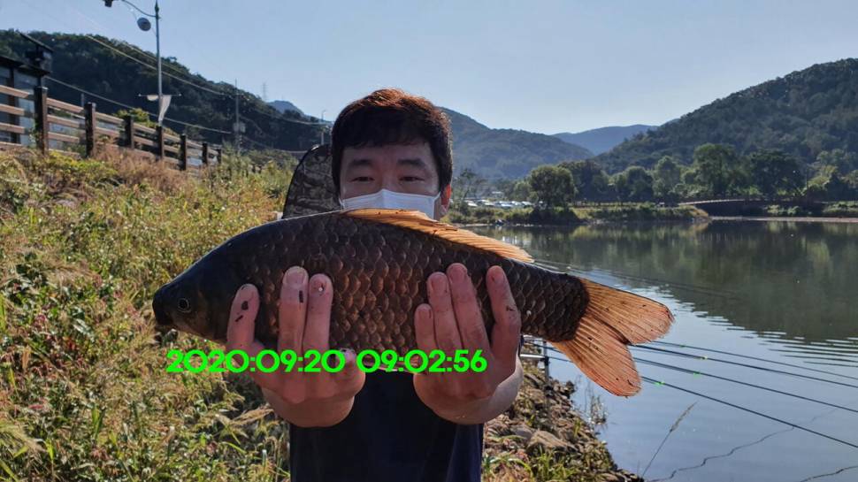 신원낚시터 9월24일 토종4243짜리가 자주 나옵니다 (유료터정보 - 유료터점주조황)