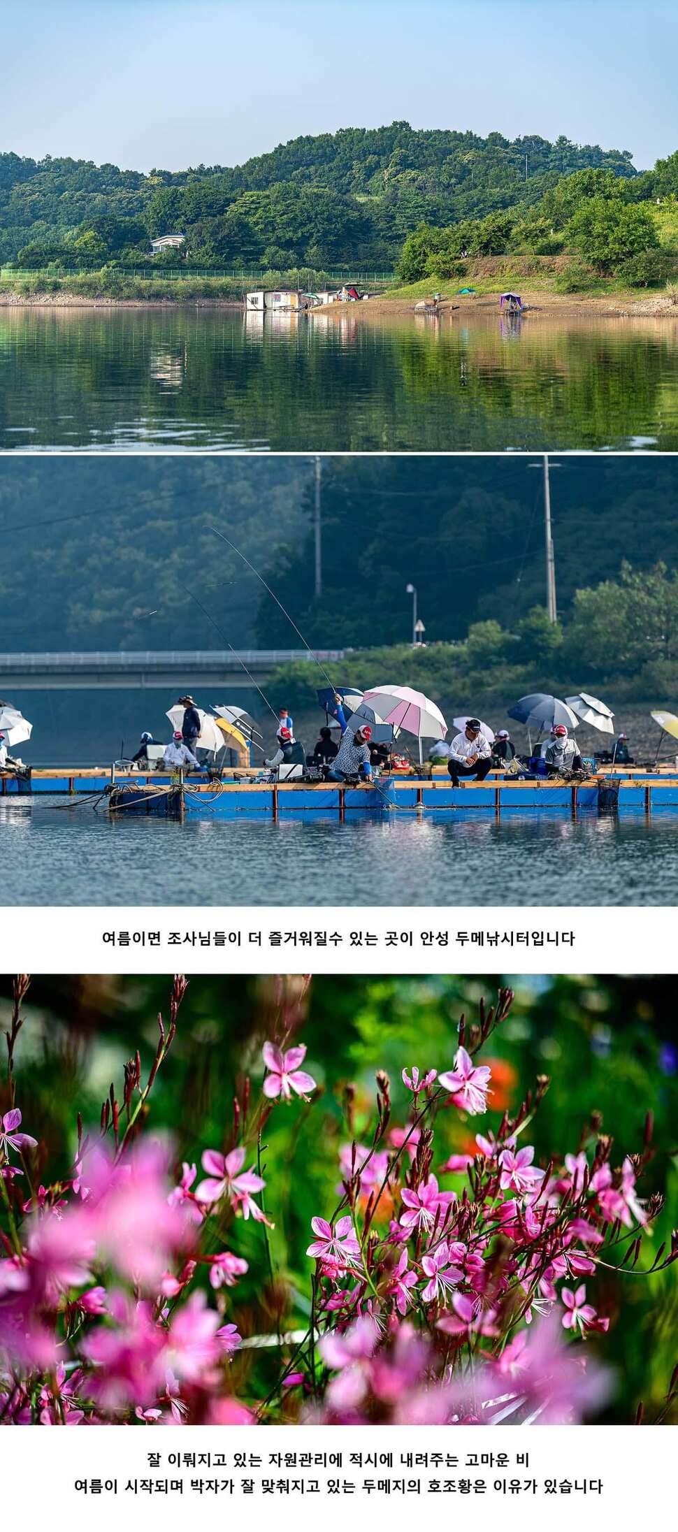 안성 두메낚시터 6월 9일 조황정보 (유료터정보 - 유료터점주조황)