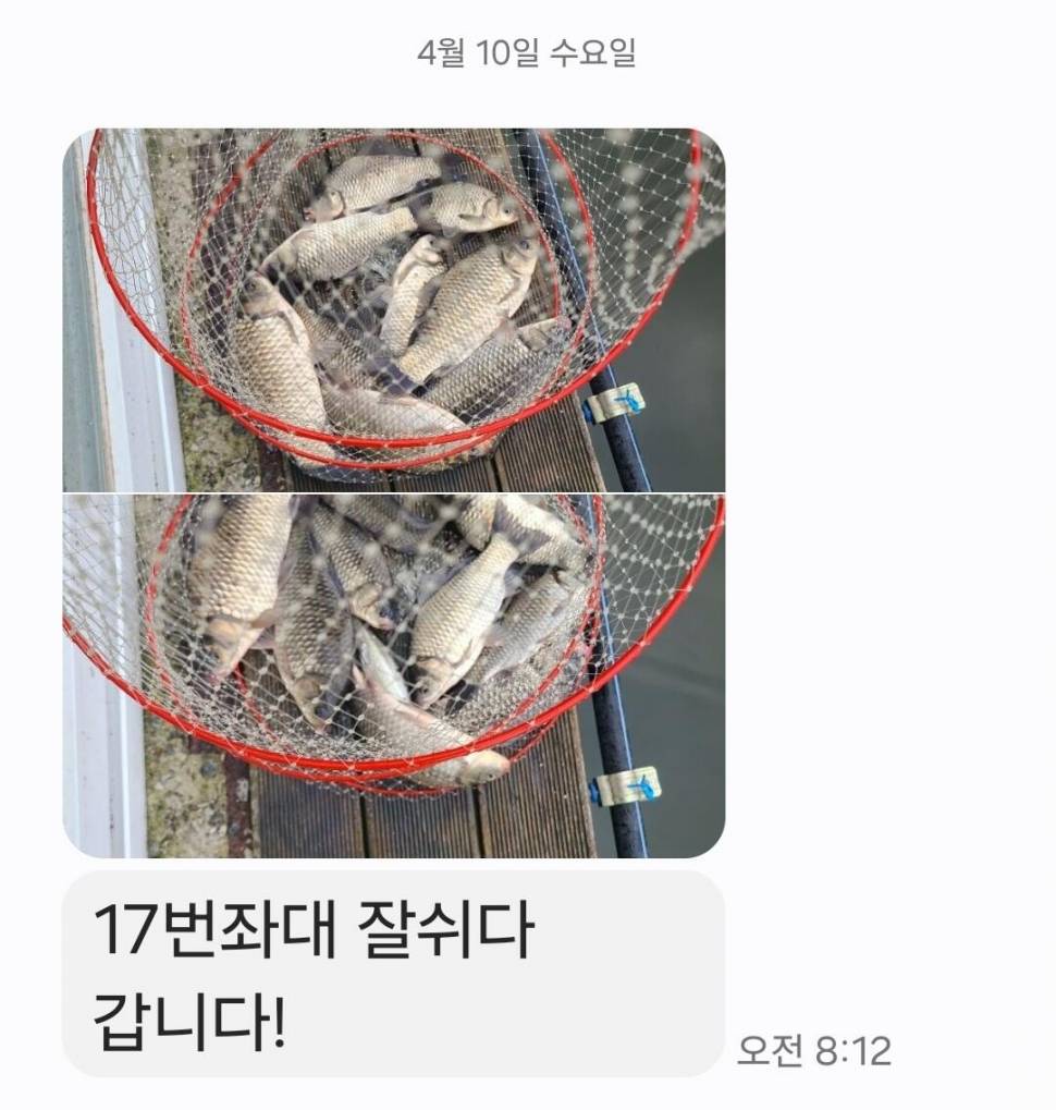 2024년 04월 둘째주 조황정보 용담낚시터사암지 이번주 4짜 1마리 (유료터정보 - 유료터점주조황)
