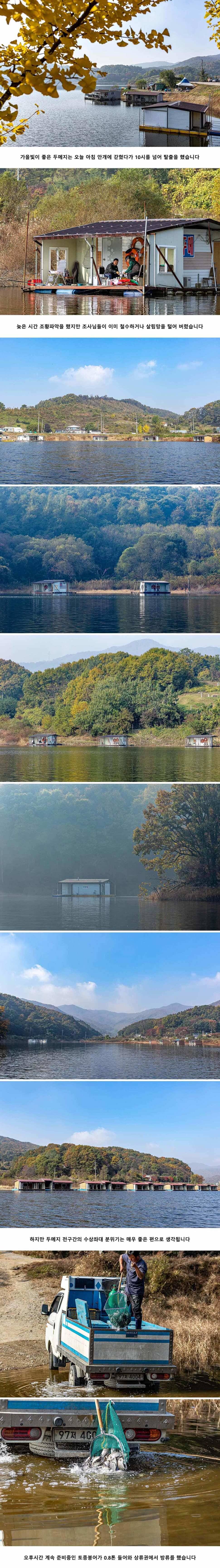 안성 두메낚시터 11월 1일 조황정보 (유료터정보 - 유료터점주조황)